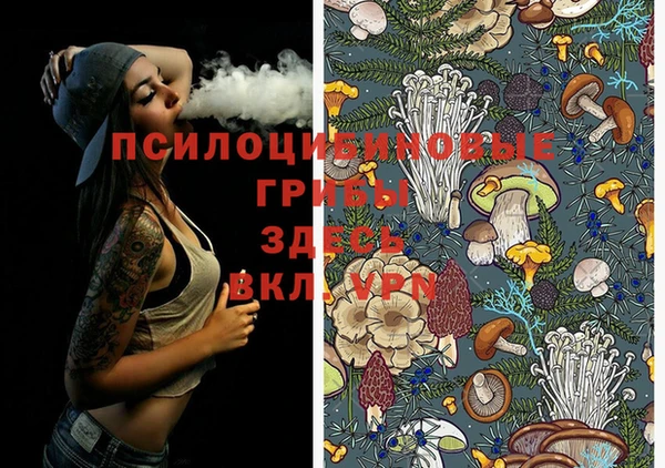 гашик Аркадак