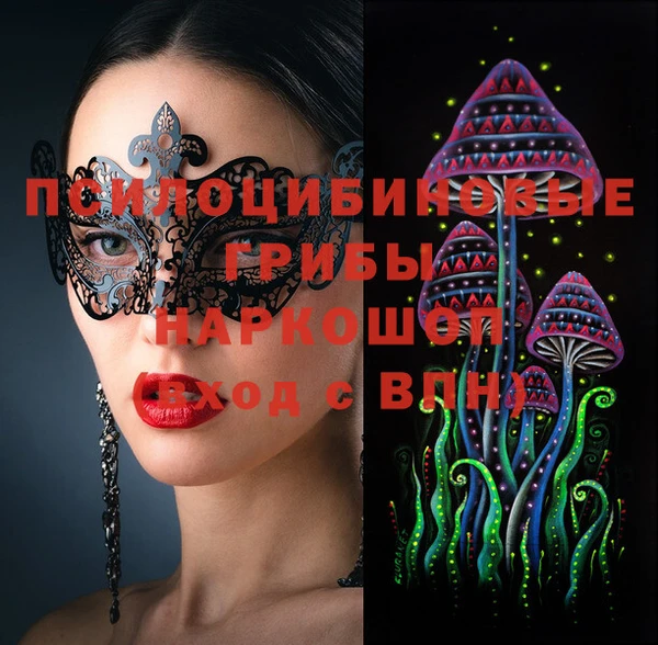 тгк Арсеньев