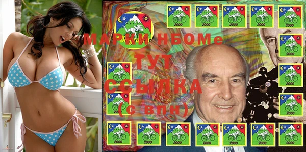 сатива Надым