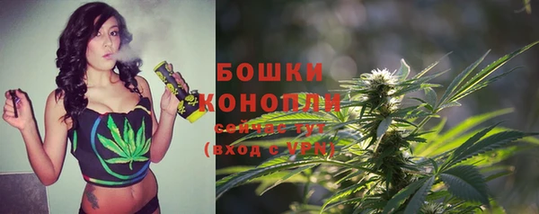 тгк Арсеньев